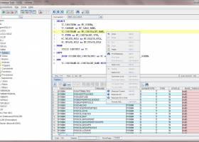 Universal Database Tools - DtSQL Portable screenshot
