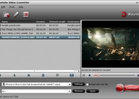 Pavtube Video Converter screenshot