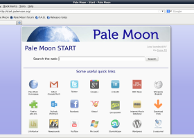 Pale Moon X64 -  8