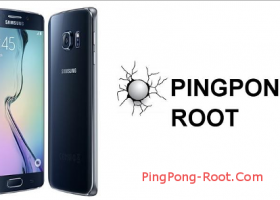 PingPong Root screenshot