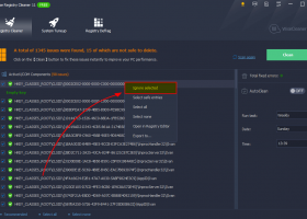 Portable Wise Registry Cleaner Professional screenshot