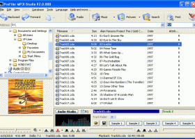 ProFiler MP3i screenshot