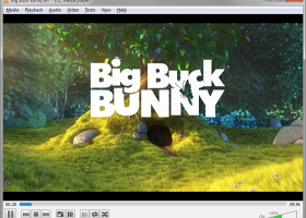 VLC Media Player Portable screenshot