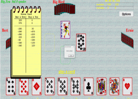 500 Card Game From Special K Software screenshot