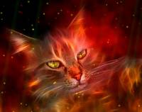 Fire Element Animated Wallpaper screenshot