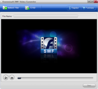Doremisoft SWF Video Converter screenshot