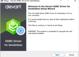 Sendinblue ODBC Driver by Devart screenshot