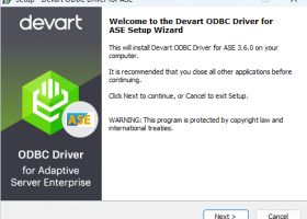 Devart ODBC Driver for SAP Sybase ASE screenshot