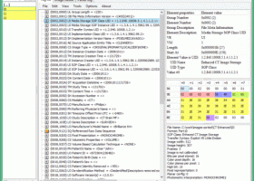 Makhaon DICOM Dump screenshot