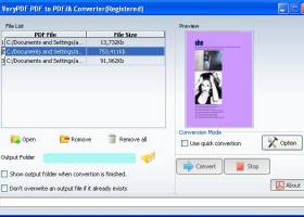 PDF to PDF/A Converter screenshot