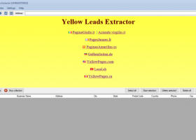 Yellow Leads Extractor screenshot