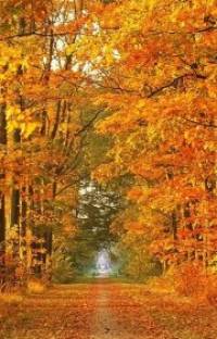free autumn landscape screensaver