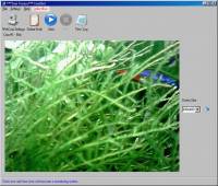 CamShot Monitoring Software screenshot