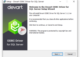 Devart ODBC Driver for SQL Server screenshot