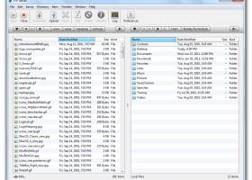 FTP Disk screenshot