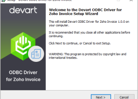 Devart ODBC Driver for Zoho Invoice screenshot