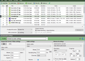 Pazera Free 3GP to AVI Converter screenshot