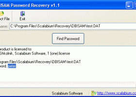 DBISAM Password Recovery screenshot