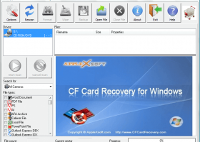 Compact Flash Card Recovery screenshot