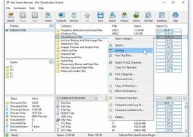 Disk Sorter Pro screenshot