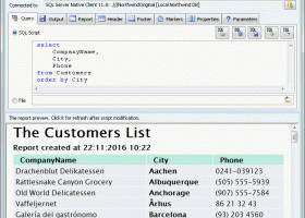 DTM Query Reporter screenshot