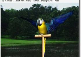 AV Digital Talking Parrot screenshot