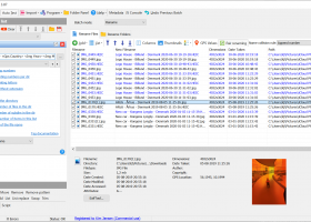 Advanced Renamer Portable screenshot