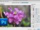 Neat Image plug-in for Photoshop