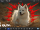 Monosnap for Chrome Monosnap for Chrome
