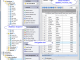 MS SQL Maestro