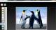 Free online Photo Frame Free online Photo Frame