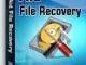 Aid file undelete recovery software