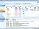 Auto FTP Manager