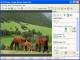 Image Resize Guide Lite Image Resize Guide Lite