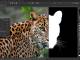Affinity Photo Affinity Photo