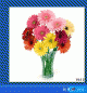 Photo on Desktop-7 Photo on Desktop-7