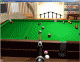 Pool 3D Training Edition Pool 3D Training Edition