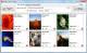 Image to PDF Converter Image to PDF Converter