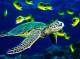 Sea Turtle Animated Wallpaper