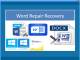 Word Repair Recovery Software