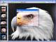 Capture View Capture View