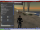 Second Life Second Life