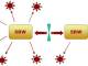 SBW - Systems Biology Workbench