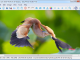 Easy Photo Studio FREE for Windows Easy Photo Studio FREE for Windows