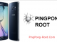 PingPong Root PingPong Root
