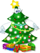 Live Christmas Tree