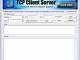 Tcp Client Server