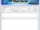 Tcp Client Server