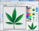 Green Icon Editor Green Icon Editor